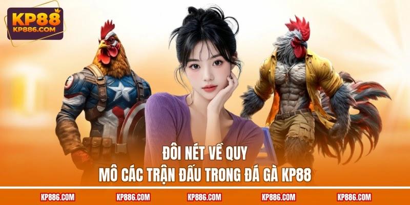Đôi nét về quy mô các trận đấu trong đá gà KP88