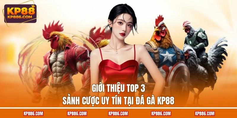 Giới thiệu top 3 sảnh cược uy tín tại đá gà KP88